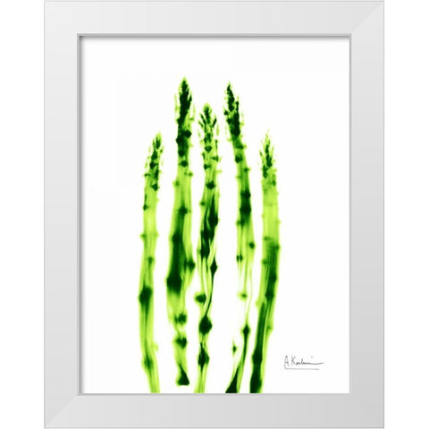 Asparagus Stock White Modern Wood Framed Art Print by Koetsier, Albert