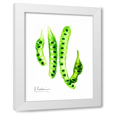 Carob Formation White Modern Wood Framed Art Print by Koetsier, Albert