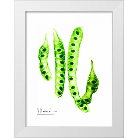 Carob Formation White Modern Wood Framed Art Print by Koetsier, Albert