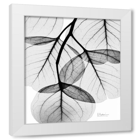 Silver Age Eucalyptus White Modern Wood Framed Art Print by Koetsier, Albert