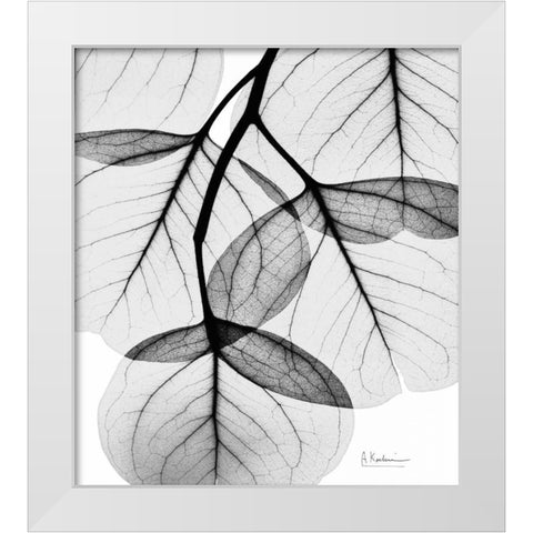 Silver Age Eucalyptus White Modern Wood Framed Art Print by Koetsier, Albert