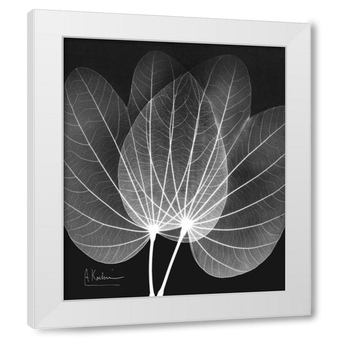 Extravagant Orchid Tree White Modern Wood Framed Art Print by Koetsier, Albert