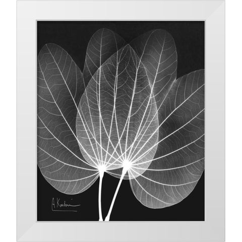 Extravagant Orchid Tree White Modern Wood Framed Art Print by Koetsier, Albert