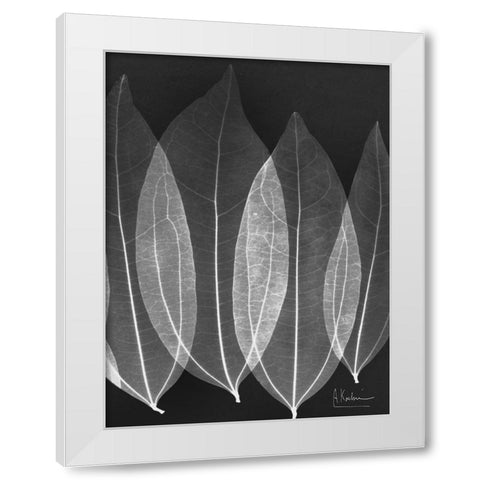 Extravagant Bo Tree White Modern Wood Framed Art Print by Koetsier, Albert