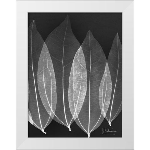 Extravagant Bo Tree White Modern Wood Framed Art Print by Koetsier, Albert