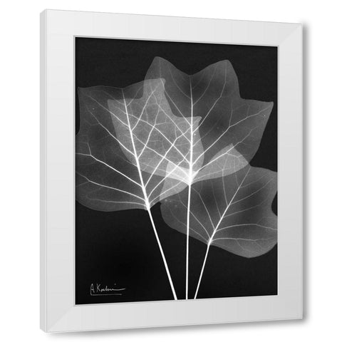 Extravagant Tulip Tree White Modern Wood Framed Art Print by Koetsier, Albert