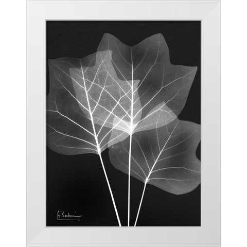 Extravagant Tulip Tree White Modern Wood Framed Art Print by Koetsier, Albert