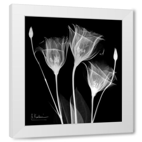 Gentle Gentian White Modern Wood Framed Art Print by Koetsier, Albert