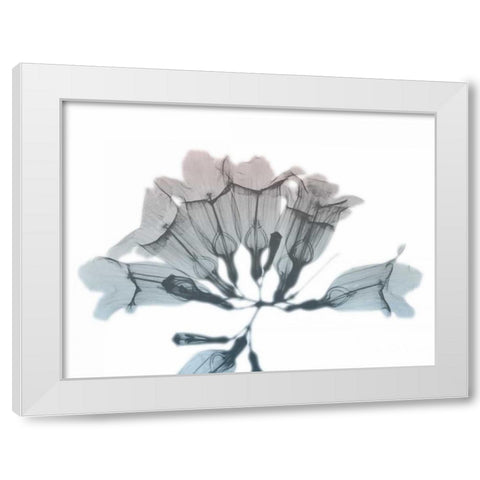 Blooming Jacaranoa White Modern Wood Framed Art Print by Koetsier, Albert