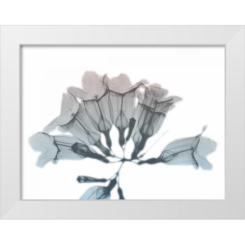 Blooming Jacaranoa White Modern Wood Framed Art Print by Koetsier, Albert