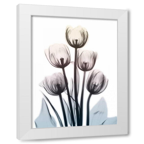 Springing Tulips 2 White Modern Wood Framed Art Print by Koetsier, Albert