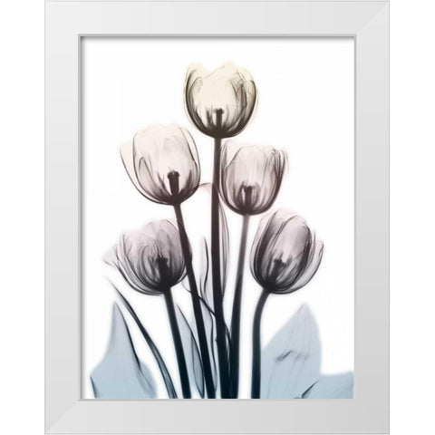 Springing Tulips 2 White Modern Wood Framed Art Print by Koetsier, Albert