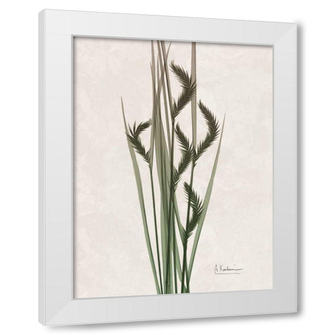 Aged Oat Grass White Modern Wood Framed Art Print by Koetsier, Albert