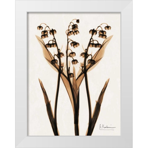 ged Lily Of The Valley White Modern Wood Framed Art Print by Koetsier, Albert