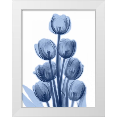 Indigo Spring Tulips White Modern Wood Framed Art Print by Koetsier, Albert