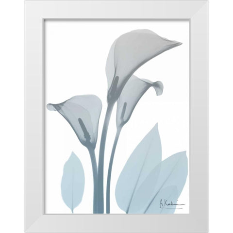 Serene Calla Lily White Modern Wood Framed Art Print by Koetsier, Albert