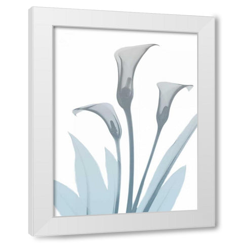 Serene Calla Lily 2 White Modern Wood Framed Art Print by Koetsier, Albert