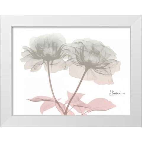 Serenity Double Rose White Modern Wood Framed Art Print by Koetsier, Albert