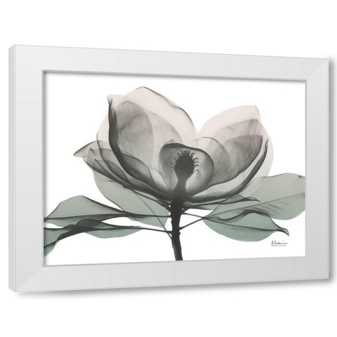 Sage Magnolia 1 White Modern Wood Framed Art Print by Koetsier, Albert