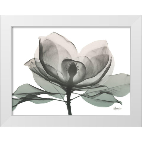 Sage Magnolia 1 White Modern Wood Framed Art Print by Koetsier, Albert