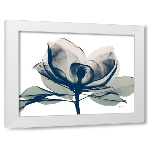 Blue Ranged Magnolia 1 White Modern Wood Framed Art Print by Koetsier, Albert