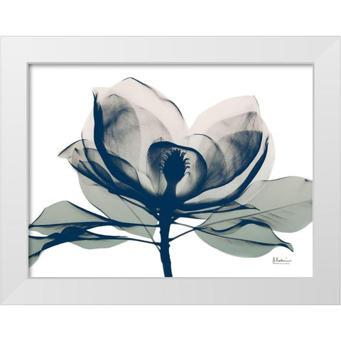 Blue Ranged Magnolia 1 White Modern Wood Framed Art Print by Koetsier, Albert