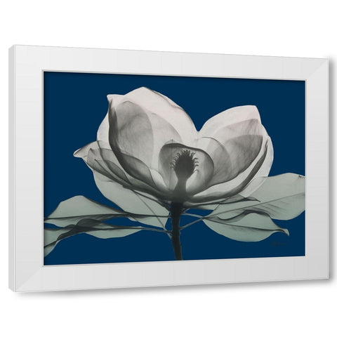 Navy Magnolia 1 White Modern Wood Framed Art Print by Koetsier, Albert