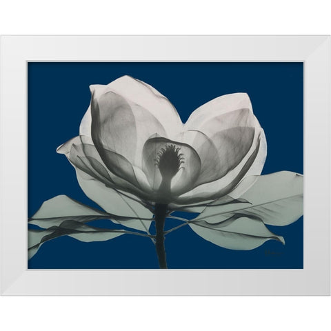 Navy Magnolia 1 White Modern Wood Framed Art Print by Koetsier, Albert