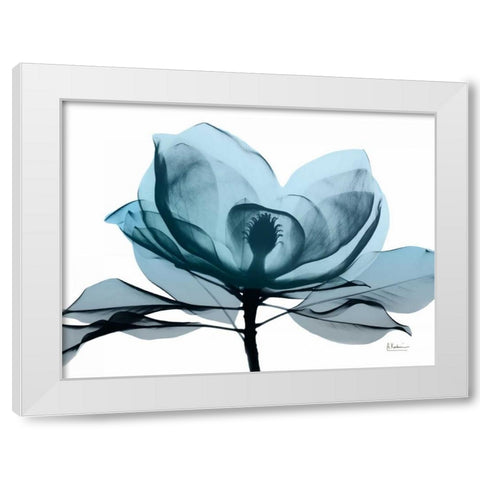 Midnight Magnolia 2 White Modern Wood Framed Art Print by Koetsier, Albert