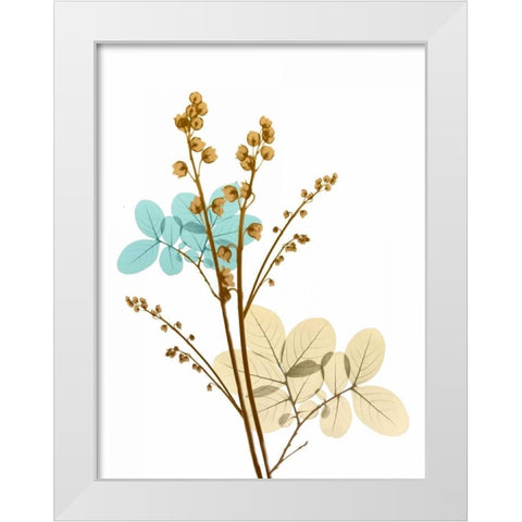 Desert Bloom 1 White Modern Wood Framed Art Print by Koetsier, Albert