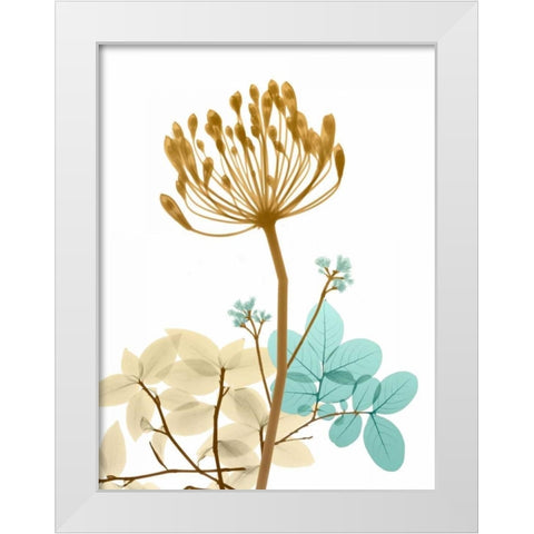 Desert Bloom 2 White Modern Wood Framed Art Print by Koetsier, Albert