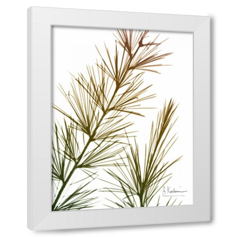 Autumn Sequoia White Modern Wood Framed Art Print by Koetsier, Albert