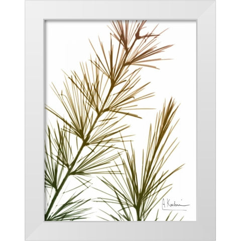 Autumn Sequoia White Modern Wood Framed Art Print by Koetsier, Albert