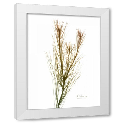 Autumn Botanical White Modern Wood Framed Art Print by Koetsier, Albert