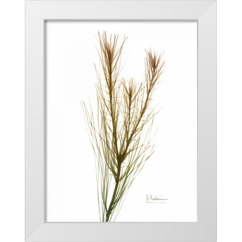 Autumn Botanical White Modern Wood Framed Art Print by Koetsier, Albert