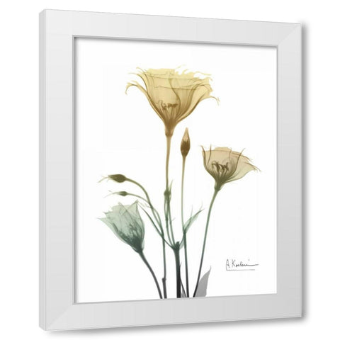Ocre Bloom 1 White Modern Wood Framed Art Print by Koetsier, Albert