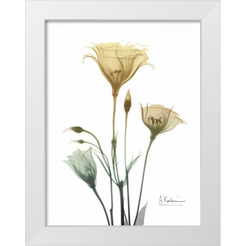 Ocre Bloom 1 White Modern Wood Framed Art Print by Koetsier, Albert