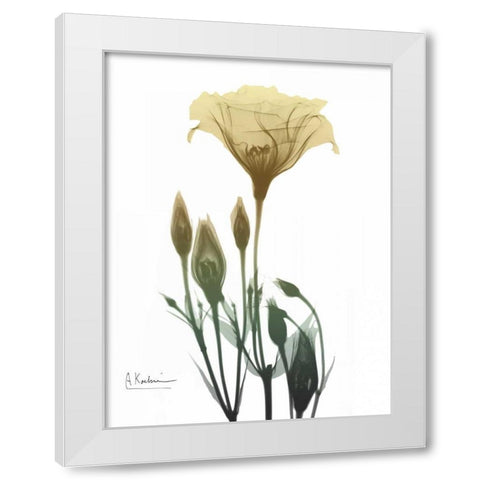 Ocre Bloom 2 White Modern Wood Framed Art Print by Koetsier, Albert