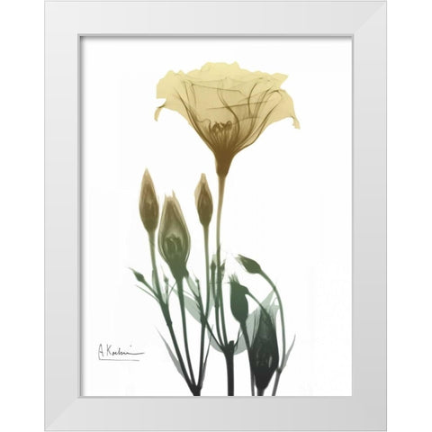 Ocre Bloom 2 White Modern Wood Framed Art Print by Koetsier, Albert