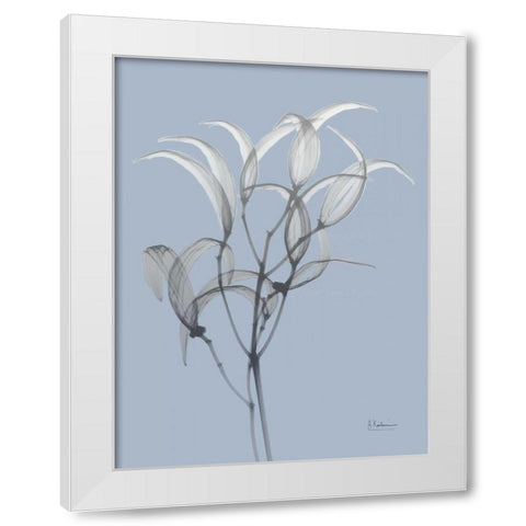 Skyway Oleander Bush White Modern Wood Framed Art Print by Koetsier, Albert