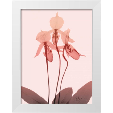 Furiosa Orchid White Modern Wood Framed Art Print by Koetsier, Albert