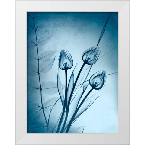 Cerulean Dawn White Modern Wood Framed Art Print by Koetsier, Albert