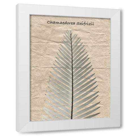 Chamaedorea Illustration White Modern Wood Framed Art Print by Koetsier, Albert