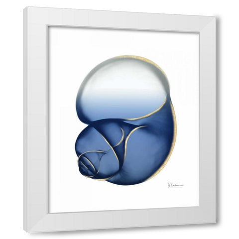 Shimmering Indigo Snail 1 White Modern Wood Framed Art Print by Koetsier, Albert