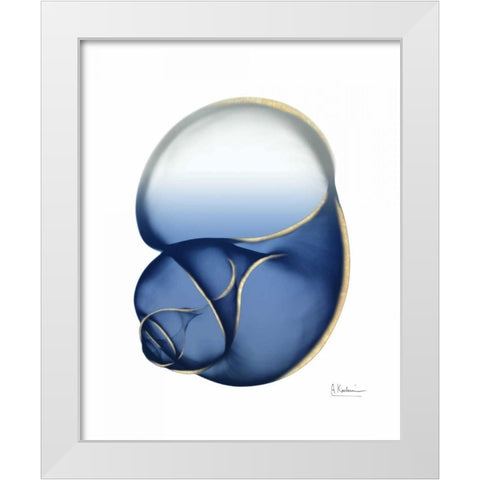 Shimmering Indigo Snail 1 White Modern Wood Framed Art Print by Koetsier, Albert