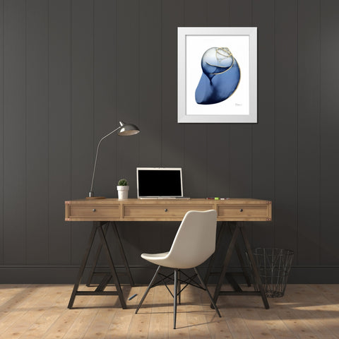 Shimmering Indigo Snail 2 White Modern Wood Framed Art Print by Koetsier, Albert