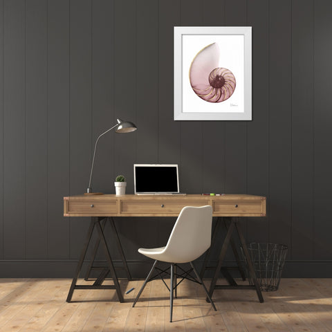 Shimmering Blush Snail 1 White Modern Wood Framed Art Print by Koetsier, Albert