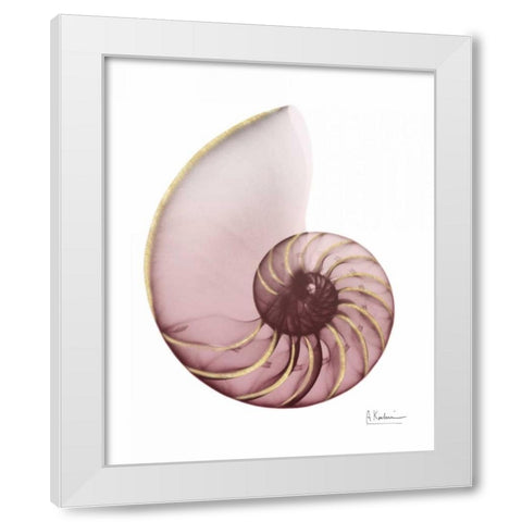 Shimmering Blush Snail 1 White Modern Wood Framed Art Print by Koetsier, Albert