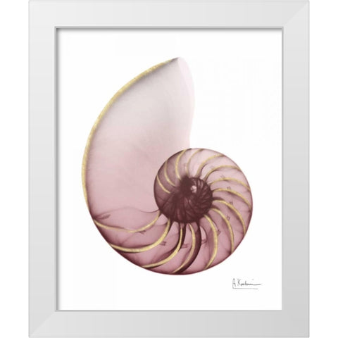 Shimmering Blush Snail 1 White Modern Wood Framed Art Print by Koetsier, Albert