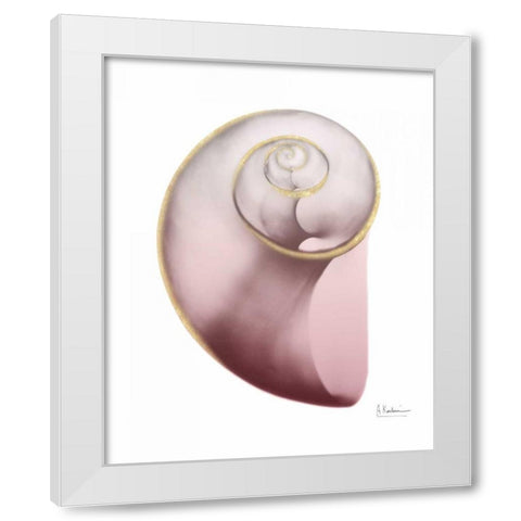 Shimmering Blush Snail 2 White Modern Wood Framed Art Print by Koetsier, Albert
